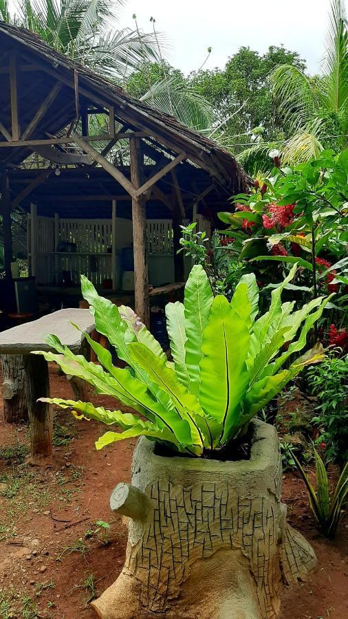 Travis Post Homestay Siquijor Eksteriør billede