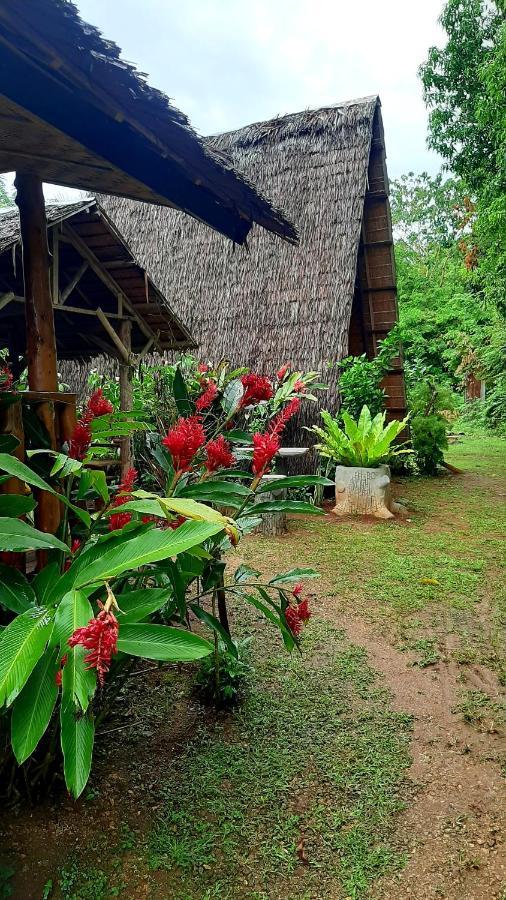 Travis Post Homestay Siquijor Eksteriør billede