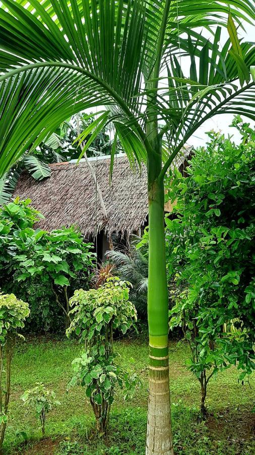 Travis Post Homestay Siquijor Eksteriør billede